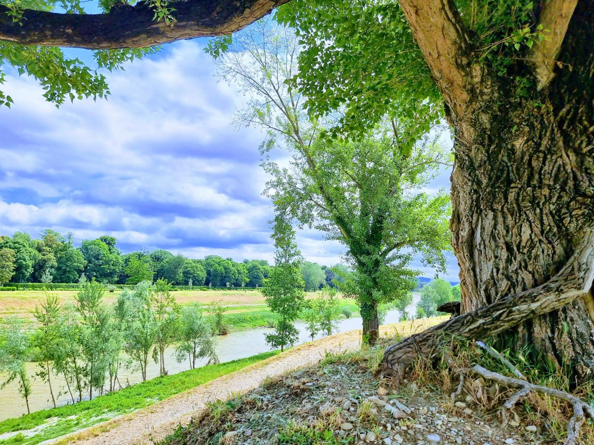 Laura B & B Firenze Kültér fotó